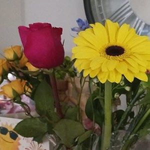 Meet your Posher, Rhonda